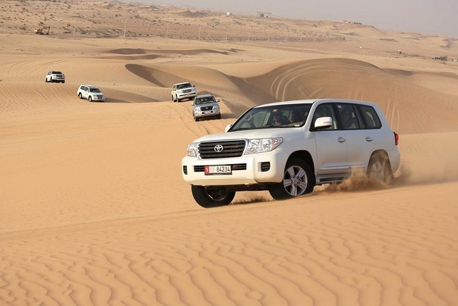 Morning Desert Safari in 4x4 Shared Vehicle - Inclusions and Experiences