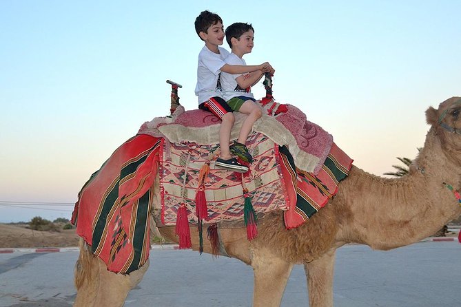 Morning Desert Safari With Camel Ride and Sand Boarding - Experience Overview