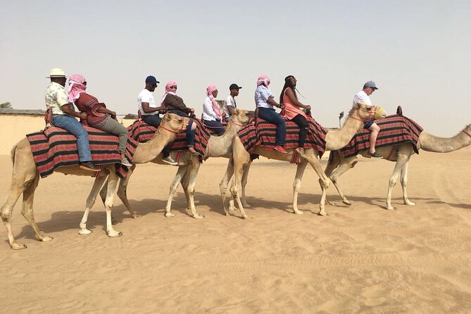 Morning Red Dunes With Camel Ride, Sandboarding and Refreshments - Desert Adventures