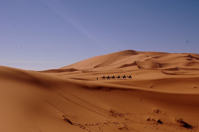 Morocco Desert Tour 8 Days Desert Tour From Tangier to Marrakech - Reviews