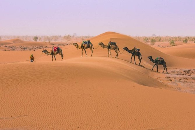 Morocco Desert Tours From Marrakech 3 Days - Optional Activities and Upgrades