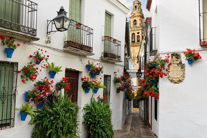 Mosque-Cathedral, Synagogue and Old City Tour in Cordoba  - Malaga - Booking Information