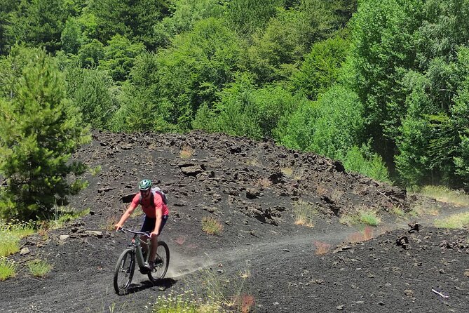 Mount Etna E-Bike Half-Day Tour - Meeting and Departure Details