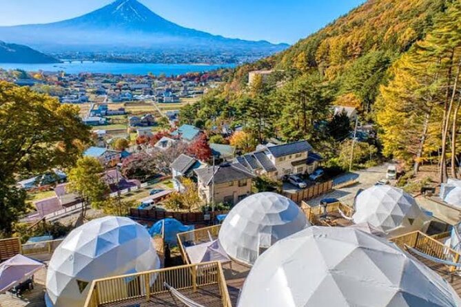 Mount Fuji and Hakone Private Tour With English Speaking Driver - Inclusions and Exclusions
