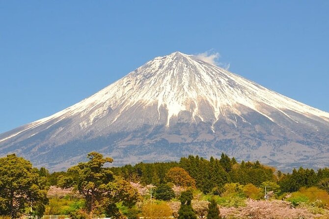 Mount Fuji Private Custom Tour From Tokyo - Customization Options