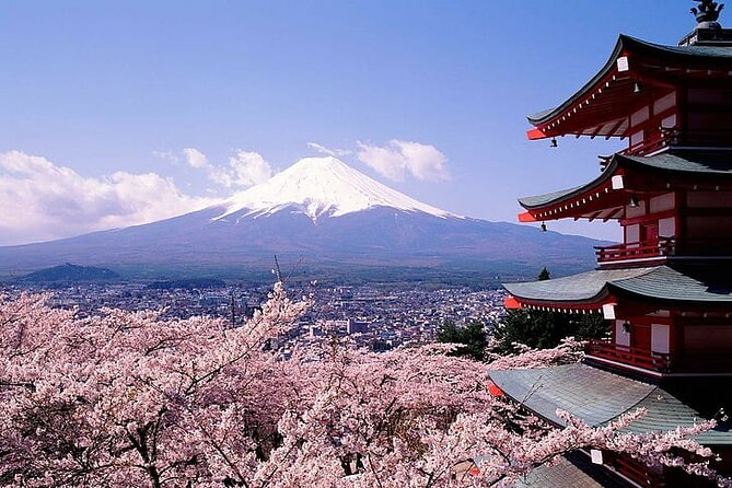 Mount Fuji Private Day Tour With English Speaking Driver - Cancellation Policy Guidelines