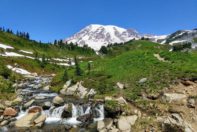 Mount Rainier National Park Luxury Small-Group Day Tour With Lunch - Small-Group Experience