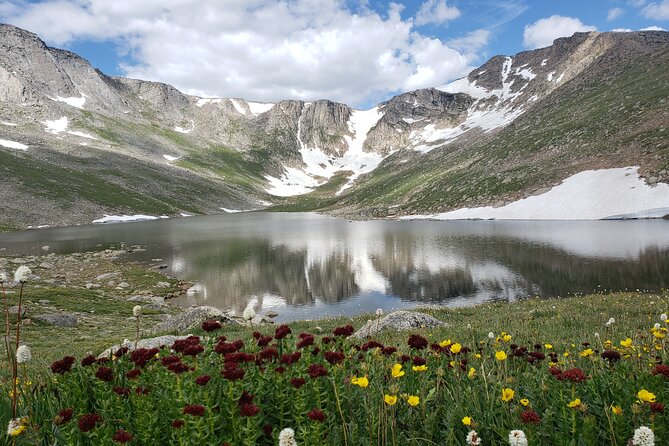 Mt. Evans Summer Mountain Summit - Wildlife Spotting at Alpine Lake