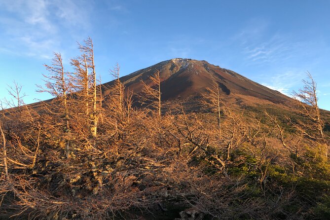 Mt Fuji Nature Guide for Family and Couple - Scenic Views and Photo Opportunities