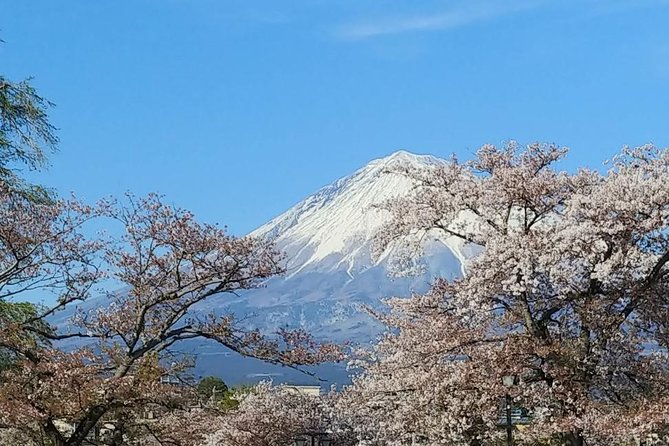 Mt. Fuji, Visit Where All the Japanese People Belong (Chartered Taxi Tour) - Booking Information