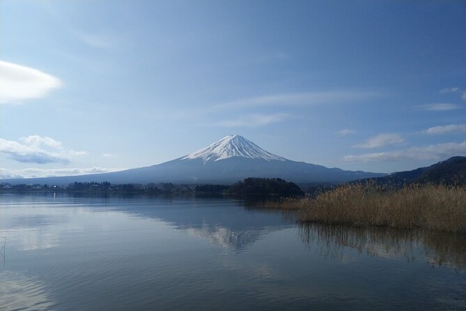 Mt Fuji With Kawaguchiko Lake Day Tour - Pricing Details