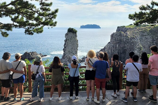 Mt. Halla, Jusangjeolli Cliff & Cheonjiyeon Falls Jeju Tour (Mar ) - Traveler Experience Insights