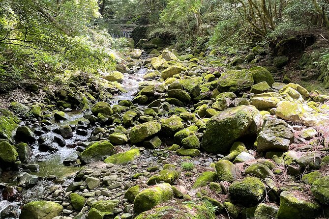 Mt. Inunaki Trekking and Waterfall Training in Izumisano Osaka - Inclusions