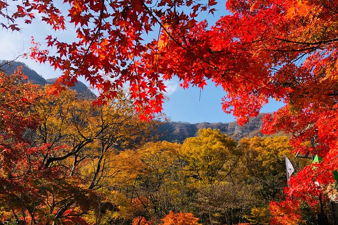 Mt. Naejang Autumn Foliage and Jeonju Hanok Village 1 Day Tour - Logistics and Recommendations