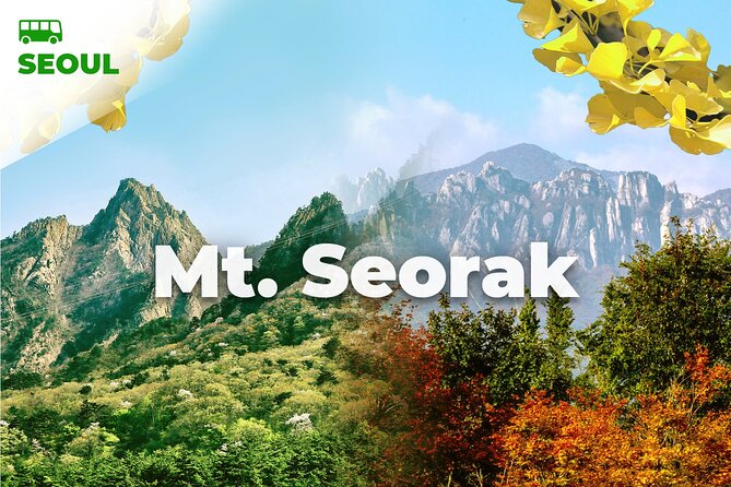 Mt. Seorak & The Tallest Ginko Tree at Yongmunsa - Reviews for Mt. Seorak Tour