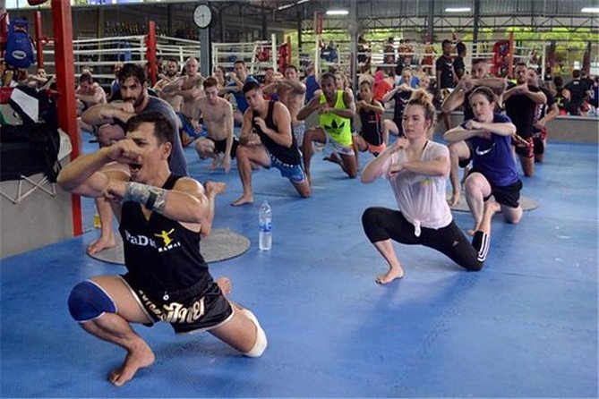 Muay Thai (Thai Boxing) Lesson With Private Transfer From Bangkok - Reviews Information