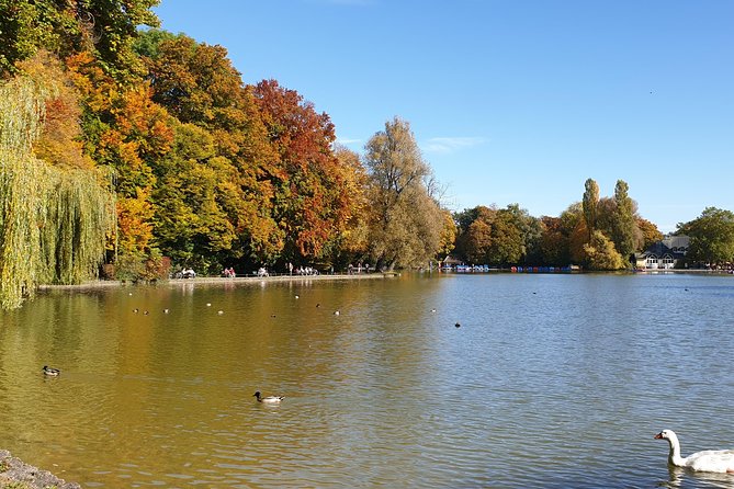 Munich 1.5-Hour Introductory Segway Tour - Reviews