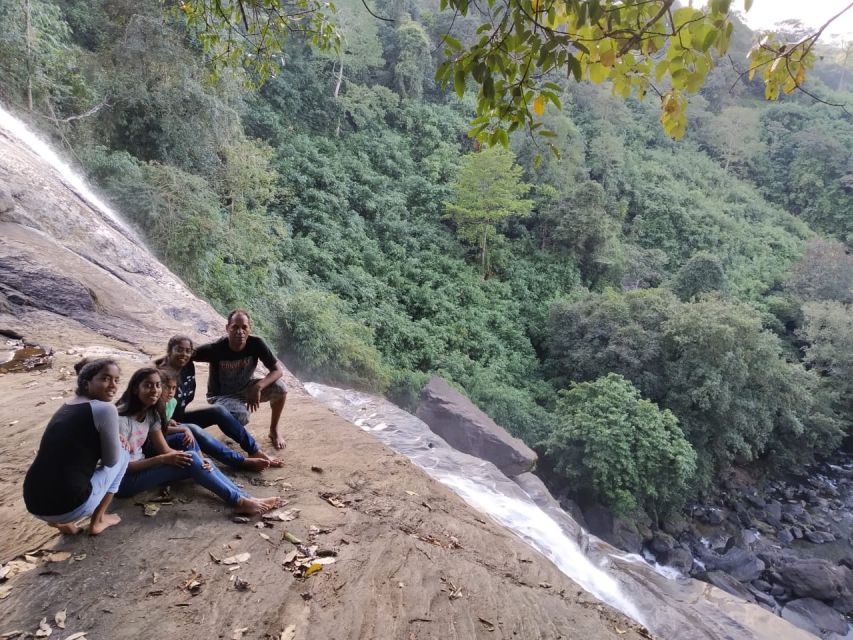 Munnar Tea Trek Elephant Land Safari - Encounter Wild Elephants in Group