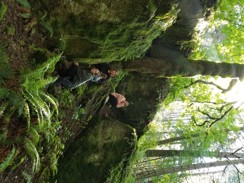 Mystical Rainforest Tour - Forest Magick - Tour Experience
