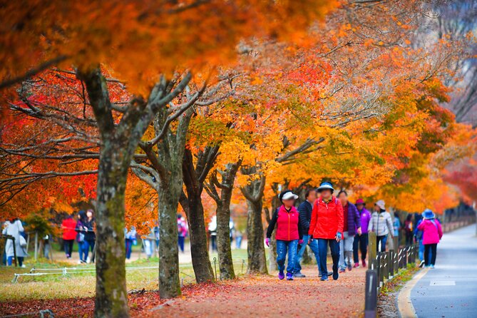 Naejangsan National Park Autumn Foliage Tour From Busan - Itinerary Details