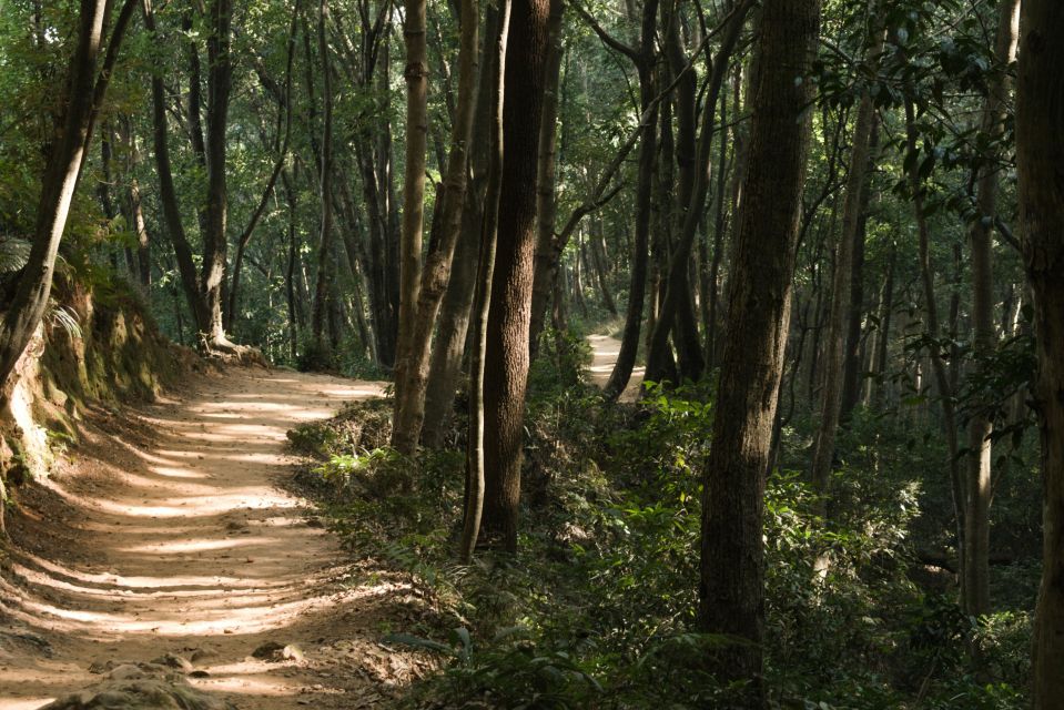 Nagarjun Jamacho Jeep Safari - Experience Highlights in Shivapuri National Park