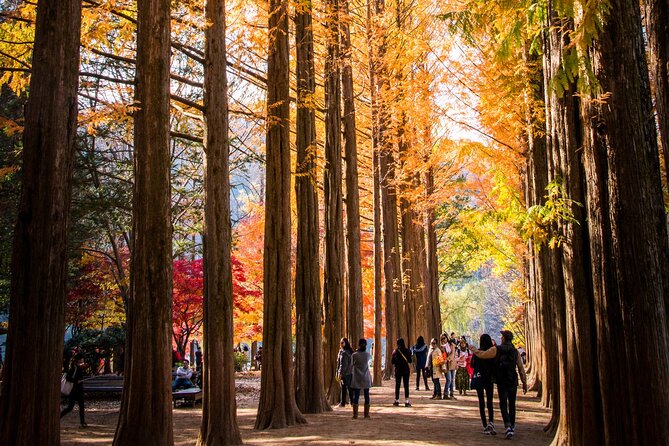 Nami & Happy Chowon Panorama Field & Gangchon Railbike - Booking Conditions