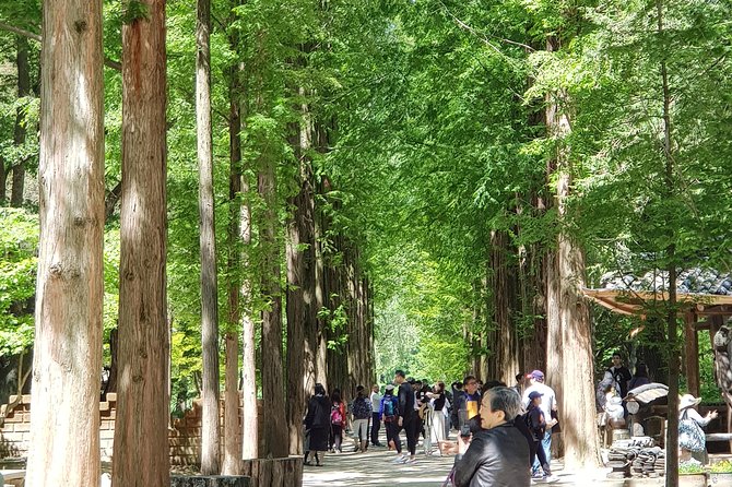 Nami Island and Petite France - Filming Location - Tourist Attractions and Sightseeing Spots