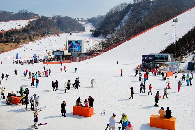 Nami Island and Ski Tour (Elysian Ski Resort) From Seoul - No Shopping - Traveler Reviews