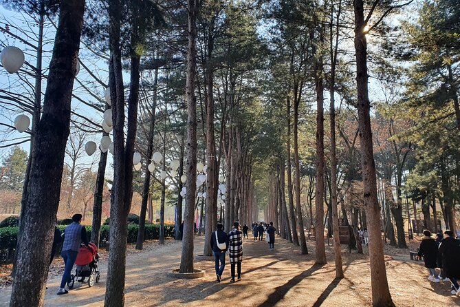 Nami Island & Garden of Morning Calm Private Tour - Itinerary Overview