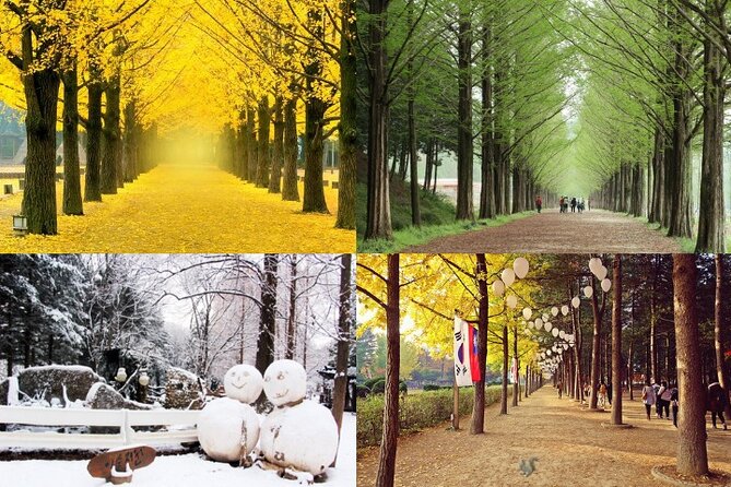 Nami Island & Petite France With Italian Village One-Day Tour - Booking Information