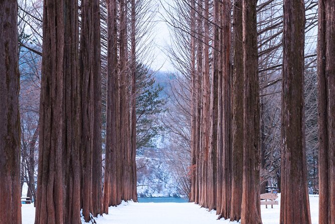 Nami Island & Strawberry Trip With Railbike & Opt. Korean Garden - Traveler Experience