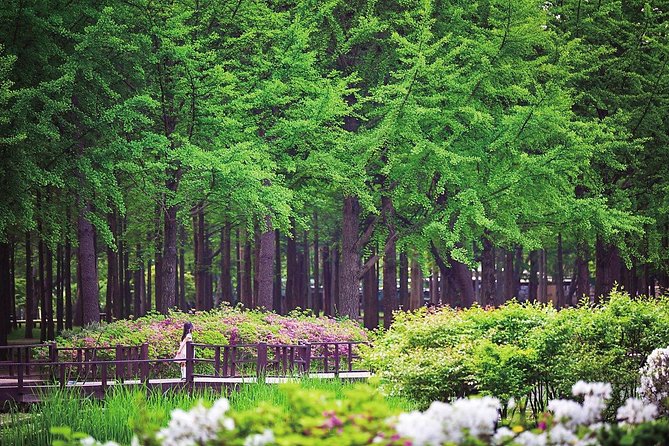 Nami Island With Garden of Morning Calm Trip - Garden of Morning Calm Attractions