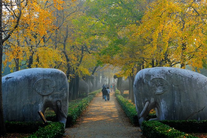 Nanjing Private English Tour Guide Service - Tour Guide Qualifications