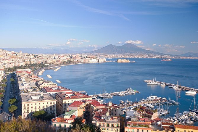 Naples and Pompeii Full-Day Tour With Pizza Lunch From Rome - Traveler Experiences