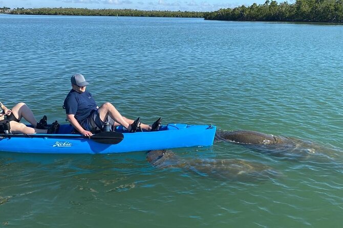 Naples, FL Hobie Kayak With Pedals in Mangrove Tunnels - Equipment Provided