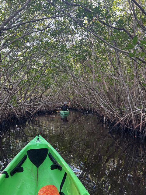 Naples, FL: Manatees, Grasslands and Mangroves Kayak Tour - Unique Kayak Adventure Experience