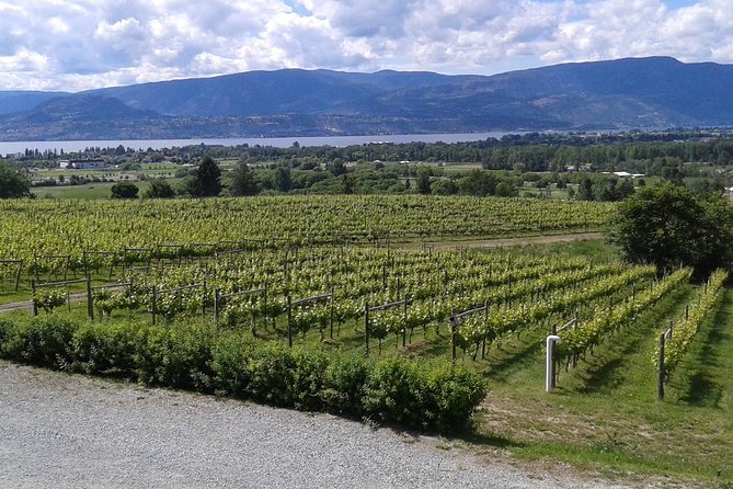 Naramata Wine Tour From Kelowna - 4 Wineries - Winery 2 - Vineyard Tour