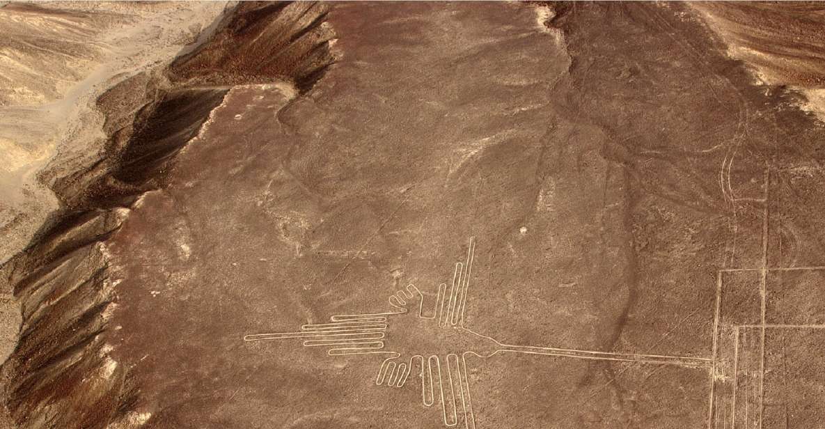 Nasca Lines Overflight With Lunch From Lima - Experience Highlights