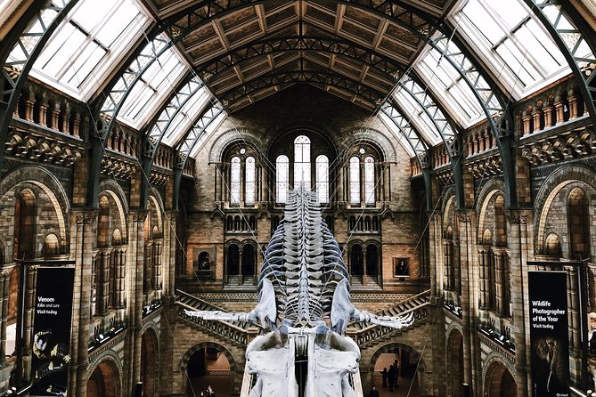 Natural History Museum London - Private Guided Museum Tour - Booking Process and Confirmation