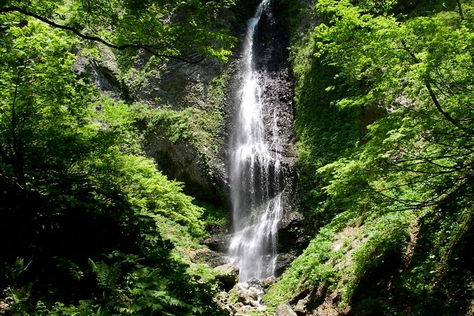 Nature Tour Around Waterfalls That Exudes From the Beech Forest Nishiwaga Town, Iwate Prefecture - Booking Confirmation Details
