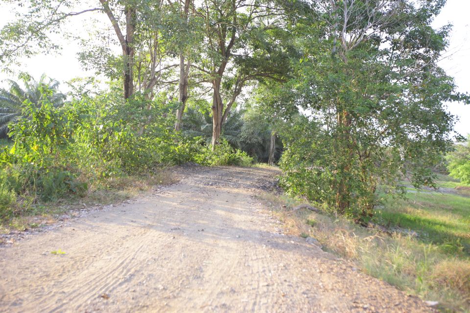 Nature Walks in a Private Reserve With Lunch - Inclusions