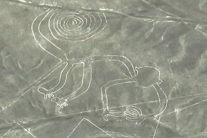 Nazca Lines and Huacachina Oasis From Lima - Customer Reviews and Experiences