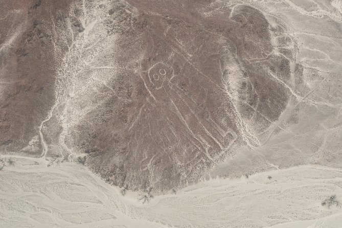 Nazca Lines Full Day Trip From Lima - Overview and What To Expect