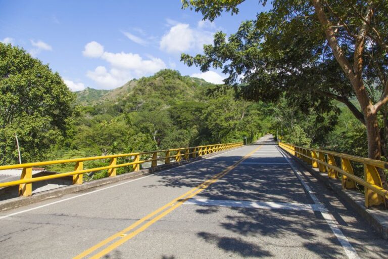 Neiva to or From San Agustín Private Transfer