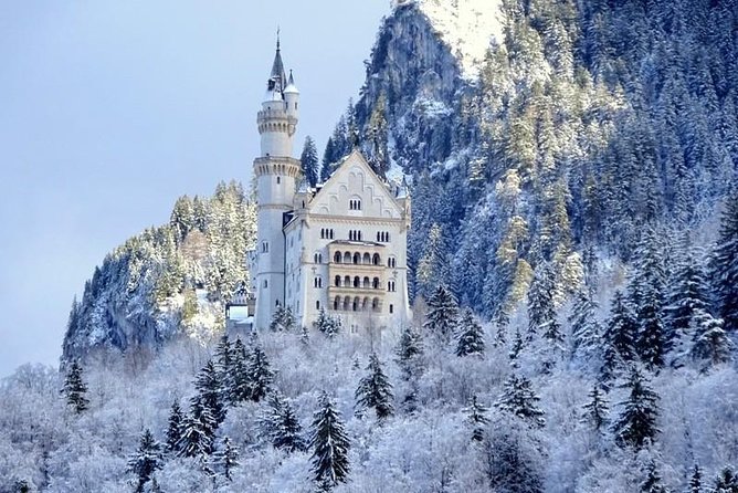 Neuschwanstein Castle and Christmas Market Tour From Munich - Traveler Information