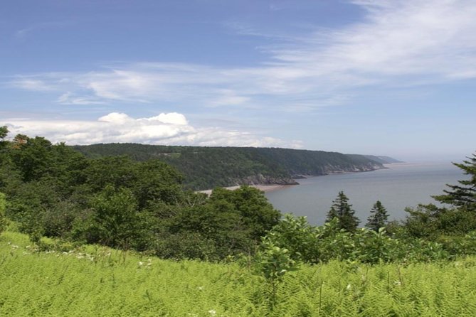 New Brunswick Shore Excursion: Bay of Fundy and More Highlights Tour - Inclusions and Guarantees