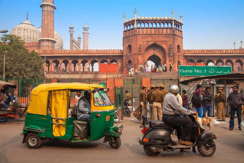 New Delhi : Private Old And New Delhi Full Day Tour - Meeting Information