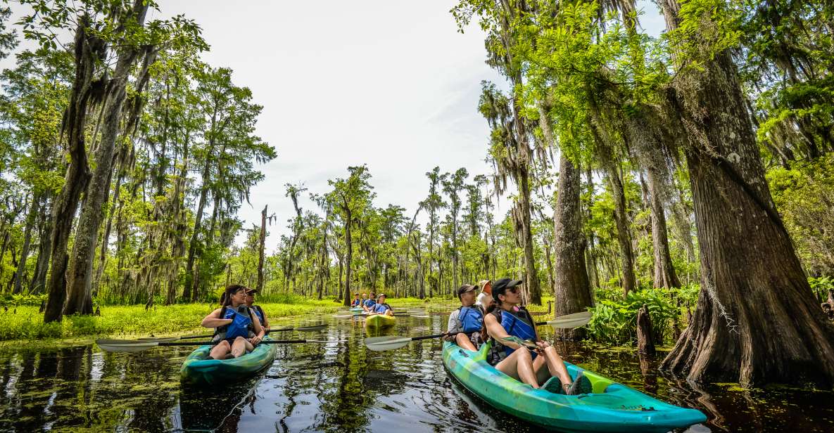 New Orleans: Manchac Magic Kayak Swamp Tour - Experience Highlights