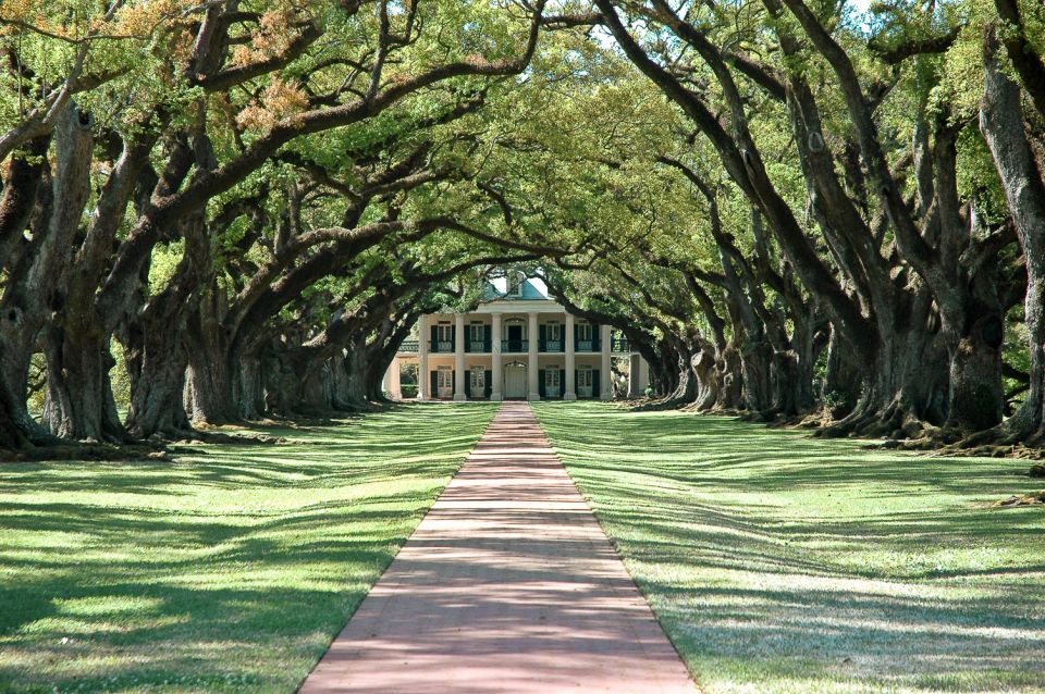 New Orleans: Single Plantation and Pontoon Swamp Day Trip - Experience Highlights