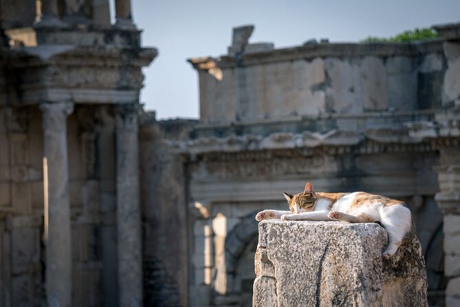 NEW: Private the Most Detailed Ephesus Shore Excursion / With Lunch - Tour Overview and Highlights